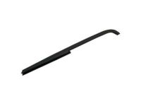 Ford AR3Z-76423A18-AA Outer Molding, Passenger Side