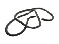 Ford HL3Z-9921702-B Tape, Passenger Side
