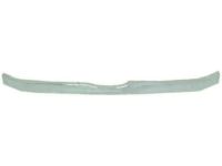 Ford 8A8Z-8200-C Lower Grille, Front