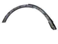 Ford BB5Z-7829165-AA Moulding, Driver Side