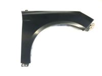 Ford BM5Z-16005-B Fender, Front Passenger Side