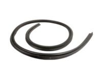 Ford 4L1Z-7851223-B Weatherstrip, Driver Side