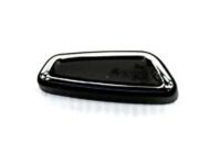 Ford DG9Z-14711-BH Knob, Front Passenger Side