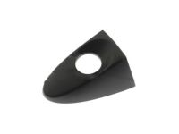 Ford BE8Z-5420966-BB Bezel, Front Outer Driver Side