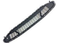 Ford AG1Z-17K945-AA Bumper Grille, Front Lower
