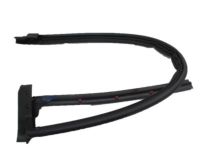 Ford 4L3Z-18253A36-AF Door Weatherstrip, Rear Passenger Side