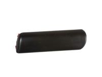 Ford 1L2Z-7816160-EA Body Side Molding, Passenger Side