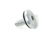 Ford -W703277-S900 Shutter Screw, Front