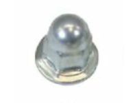 Ford -N620365-S437 Rear Glass Nut, Passenger Side