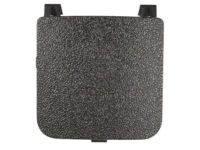 Ford DS7Z-54672A40-AB Track Cover Cap, Charcoal, Outer Driver Side