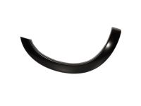 Ford 8C3Z-16038-APTM Wheel Opening Molding, Pueblo Gold, Front Passenger Side