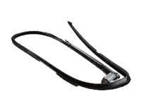 Ford CC3Z-2521596-A Run - Door Glass, Passenger Side