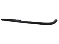 Ford 6R3Z-76423A19-AA Outer Molding, Driver Side