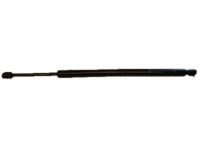 Ford 9L7Z-78406A10-A Lift Cylinder, Passenger Side