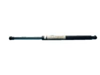 Ford 2L1Z-78406A10-BA Lift Cylinder, Rear Passenger Side