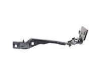 Ford FL3Z-16796-B Hinge, Front Passenger Side