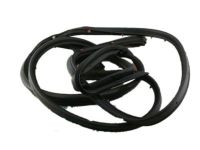 Ford 7T4Z-7820531-A Door Weatherstrip, Front Outer Driver Side