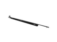 Ford FL3Z-1625596-A Weatherstrip - Door Glass Channel, Passenger Side