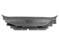 Ford DS7Z-16A238-A Sight Shield, Front
