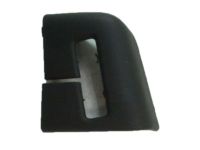 Ford 7C3Z-2860220-BA Trim Bezel, Charcoal/Steel Gray, Rear Driver Side