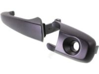 Ford 6E5Z-5422404-AN Handle Assembly - Door - Outer