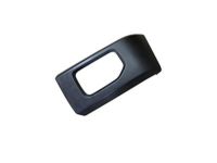 Ford FL3Z-16039-APTM Moulding - Bumper Bar, Driver Side