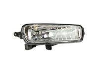 Ford F1EZ-15200-A Fog Lamp, Front Passenger Side