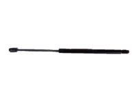 Ford F81Z-16C826-AD Lift Cylinder, Passenger Side