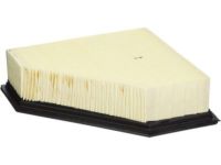 Ford 8S4Z-9601-A Air Filter