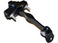 Ford 6E5Z-5423552-B Door Check, Front Driver Side