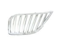 Ford BA1Z-8200-B Grille, Front Driver Side