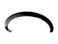 Ford 9L3Z-9929164-APTM Wheel Opening Molding, Rear Passenger Side