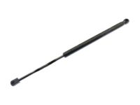 Ford 9L3Z-16624B75-A Lift Cylinder, Driver Side