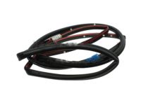 Ford BM5Z-5820708-A Weatherstrip Assembly - Door Opening, Passenger Side