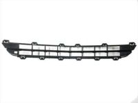 Ford AH6Z-8200-CA Lower Grille, Front