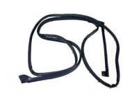 Ford BB5Z-7825324-A Door Weatherstrip, Rear Outer Passenger Side