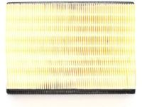 Ford YF1Z-9601-AA Element Assembly - Air Cleaner