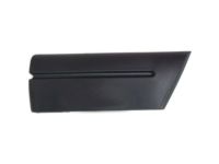 Ford 5W7Z-16036-APTM Body Side Molding, Passenger Side