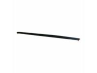 Ford F8RZ-5425597-AA Belt Weatherstrip, Driver Side