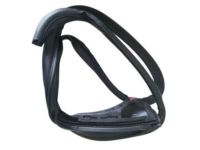 Ford AL3Z-1651222-A Weatherstrip, Passenger Side
