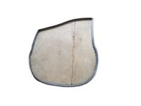 Ford BE8Z-5420530-A Weatherstrip, Passenger Side