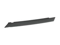 Ford DS7Z-54215A04-B Glass Retainer, Passenger Side