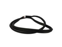 Ford FL3Z-16253A10-A Weatherstrip Assembly - Door Opening, Passenger Side