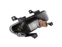 Ford FR3Z-15500-A Backup Lamp, Rear