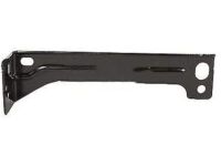 Ford FL3Z-16A142-A Lower Brace, Passenger Side