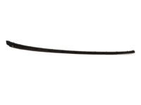 Ford BM5Z-5803178-B Windshield Molding Retainer Strip, Passenger Side