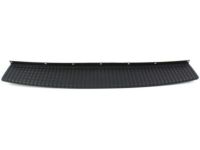 Ford 1L2Z-17B807-AAB Step Pad, Rear