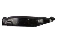 Ford FL3Z-9900375-A Panel Extension, Driver Side