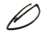 Mercury Mountaineer Window Run - 8L2Z-7821596-AA Run Channel, Front Passenger Side