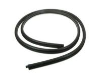 Ford EJ7Z-7820530-A Door Weatherstrip, Passenger Side
